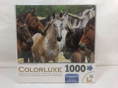 Dowdle Christmas Morning