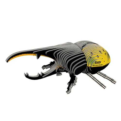 Bird Lover’s Puzzle