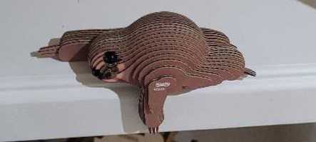 Oklahoma Sooners: Game Day At The Zoo