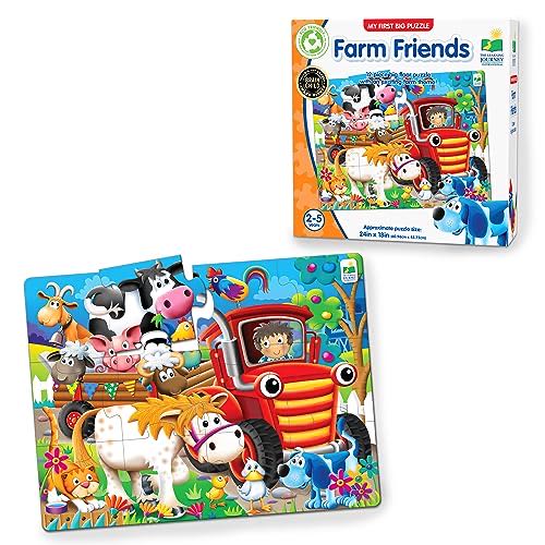 *Sweet Koalas And Pandas