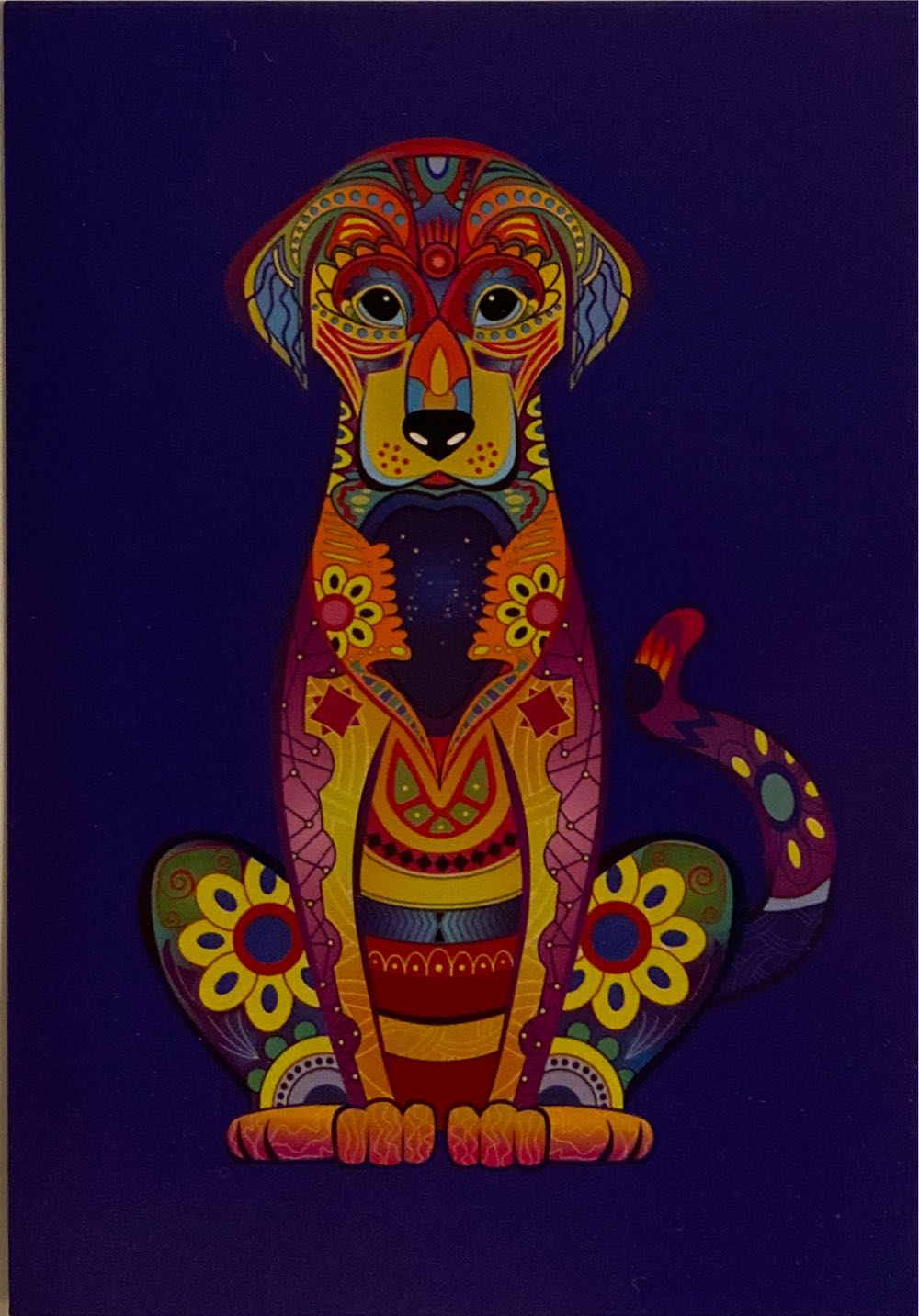 Animal Antics - New Year