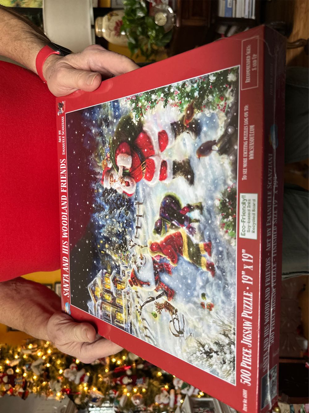 Animals Get Together