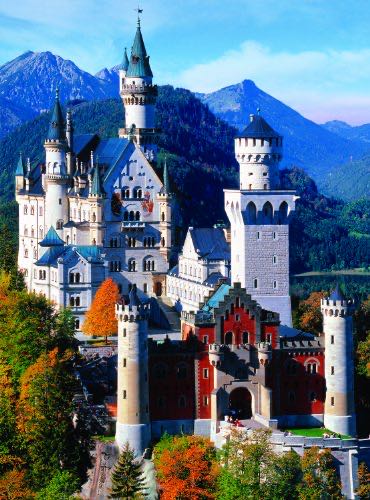 Pending Cats - Mouse Perspective 