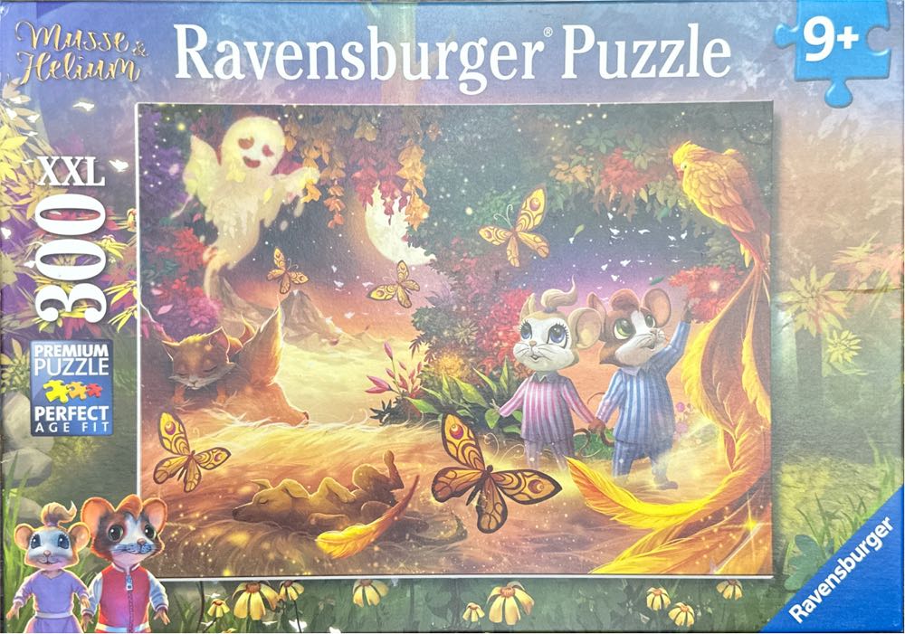 College Of Charleston 🧩