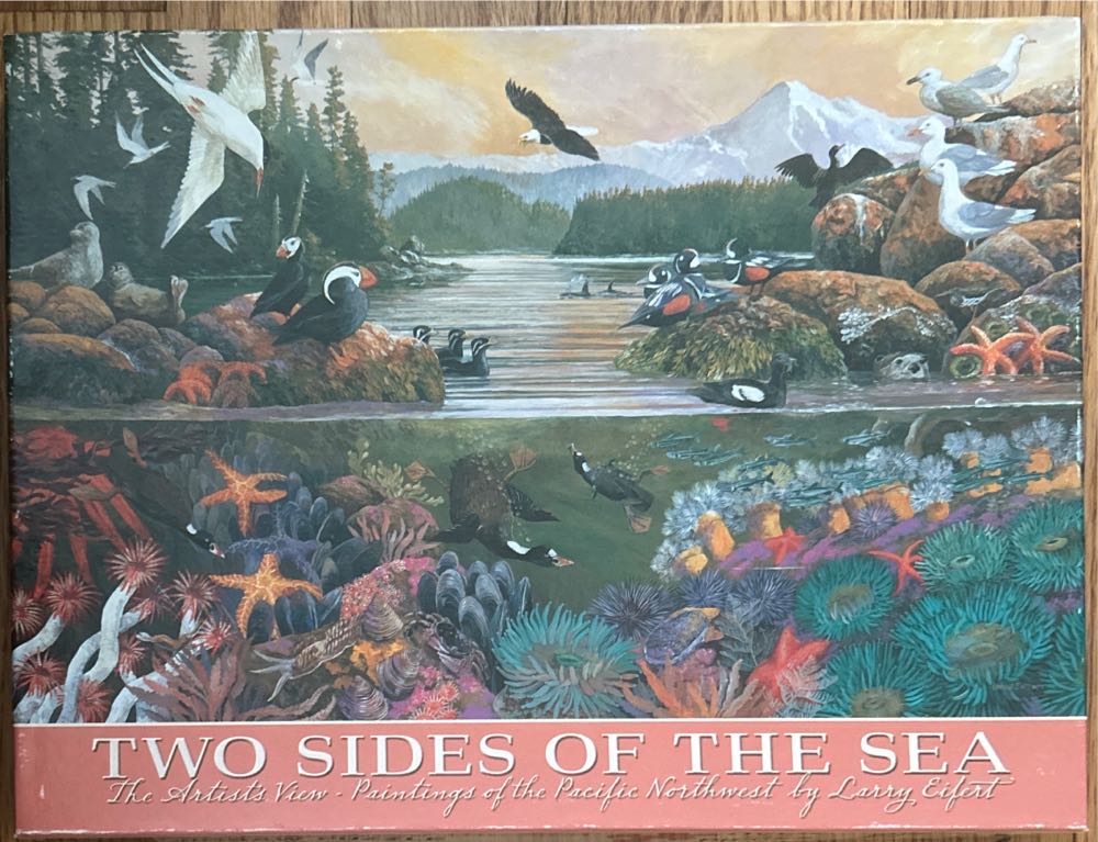 Duncan Toys 3924bb Beach Ball Puzzle Beginner To Intermediate Puzzle Multicolor 1 Puzzle