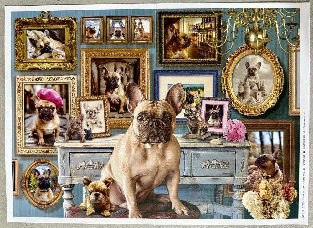 Frenchie - Cobble Hill puzzle collectible [Barcode 625012451116] - Main Image 3