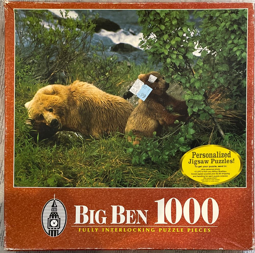 The Lucky Country - Rowing on the Yarra in Melbourne