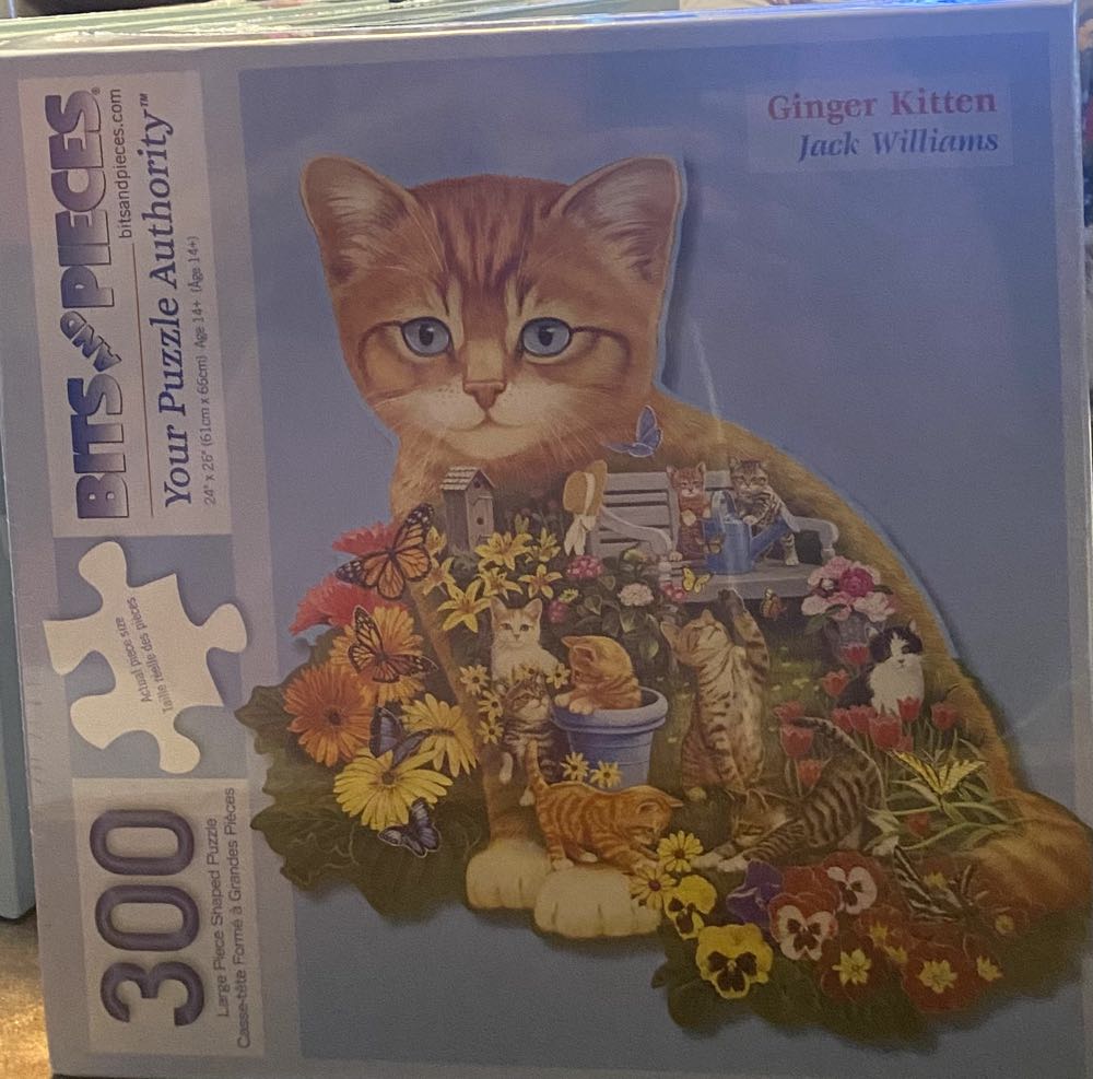 The Tropical Rain Forest