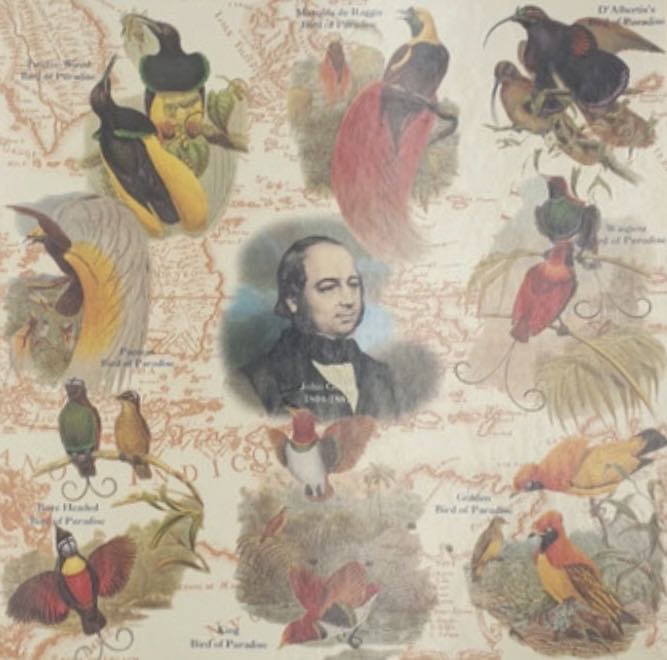 Birds Of Paradise Geen Barcode 🐦 - Historical Games Company puzzle collectible - Main Image 2