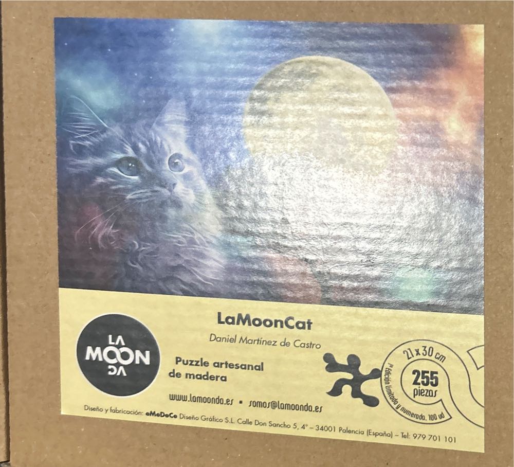 Cats: Naughty Kittens SHARED 