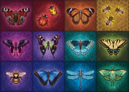 National Parks : Redwood 🆕