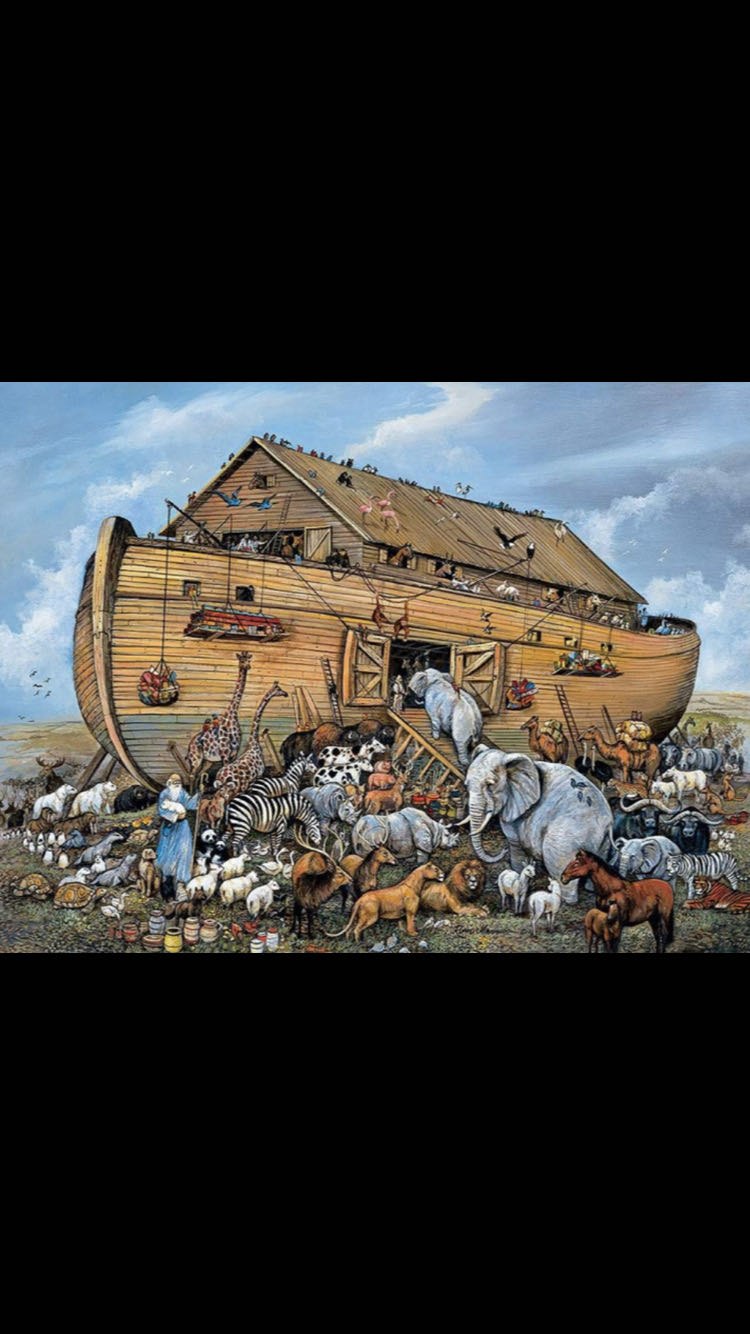 Elementów Big Ben Kotem Jigsaw Ravensburger Findus Elementow Funny Cat On Am