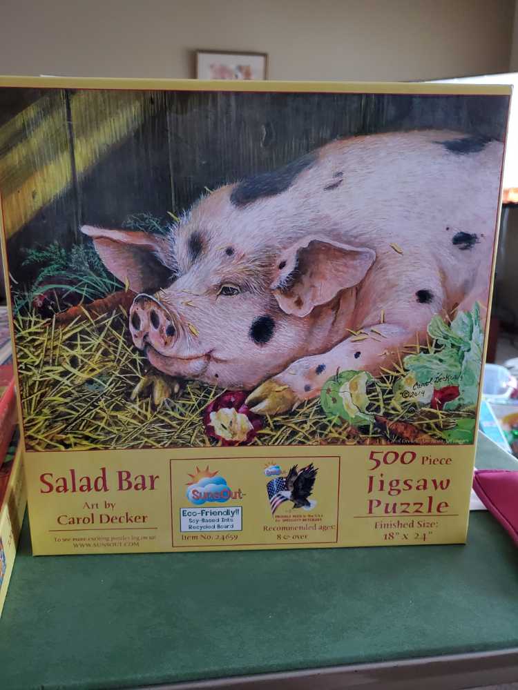 Tropical Butterflies