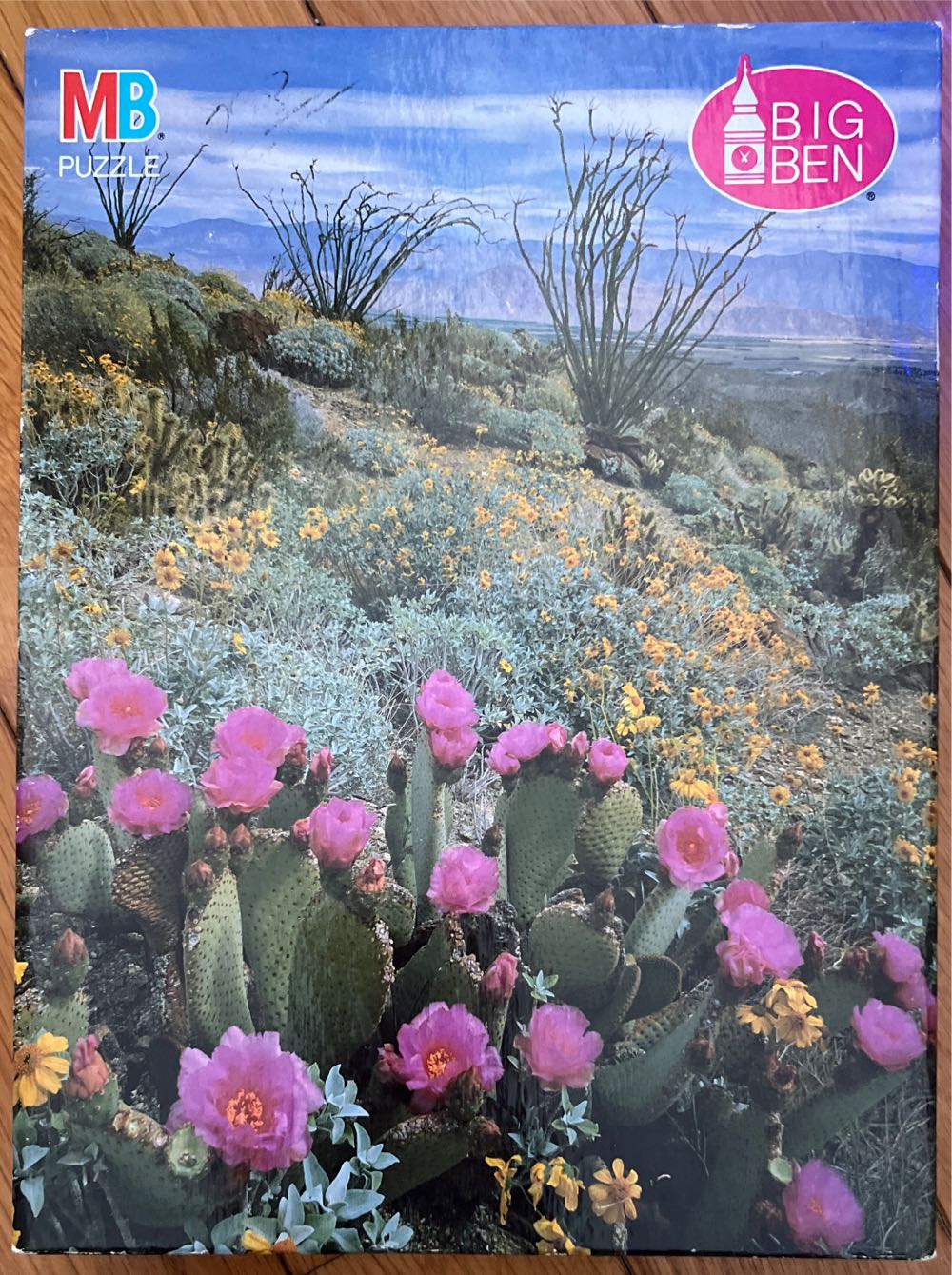 Many Hot Air Balloons