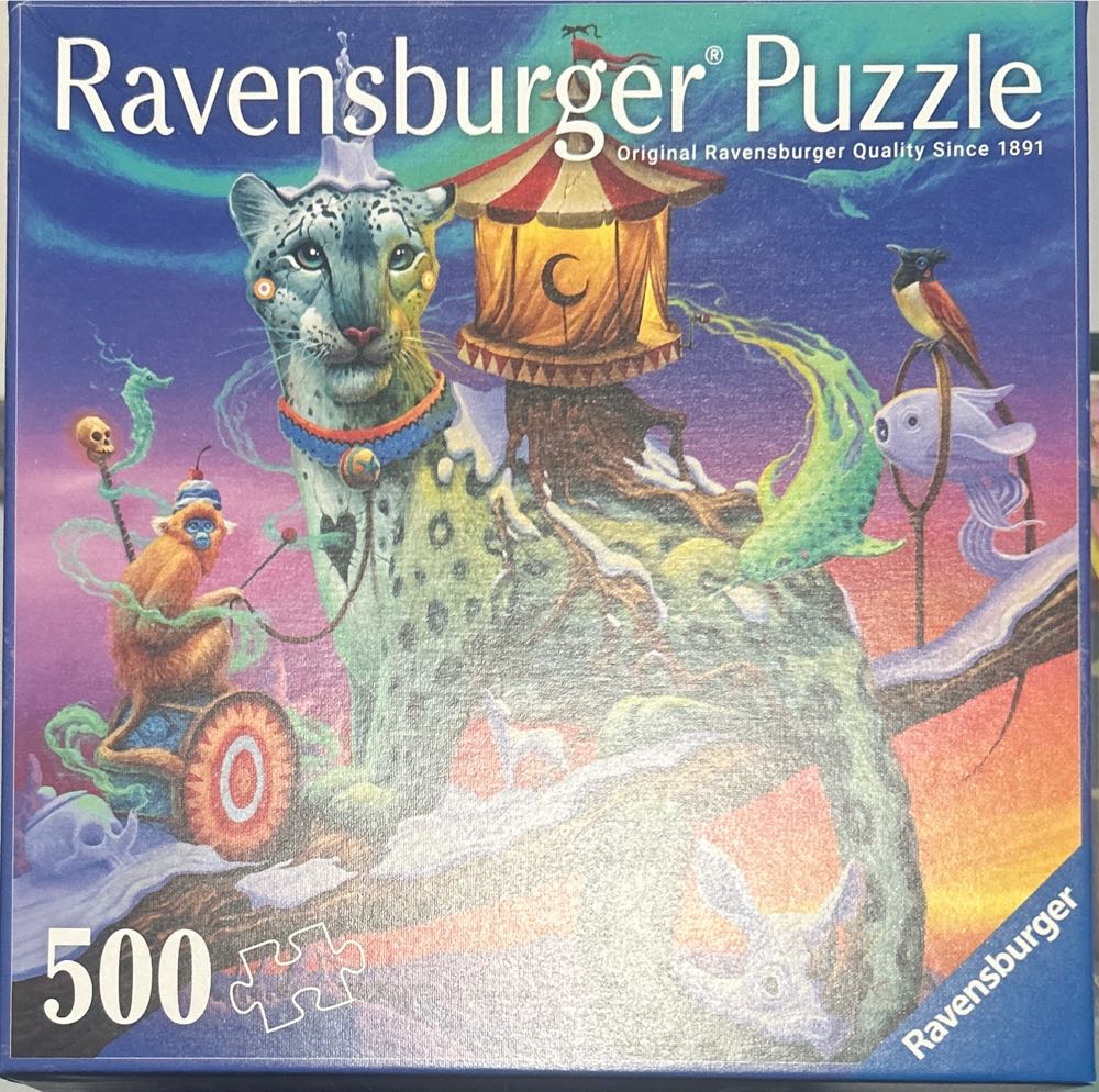 Aristocratic Cats In Full Bloom 