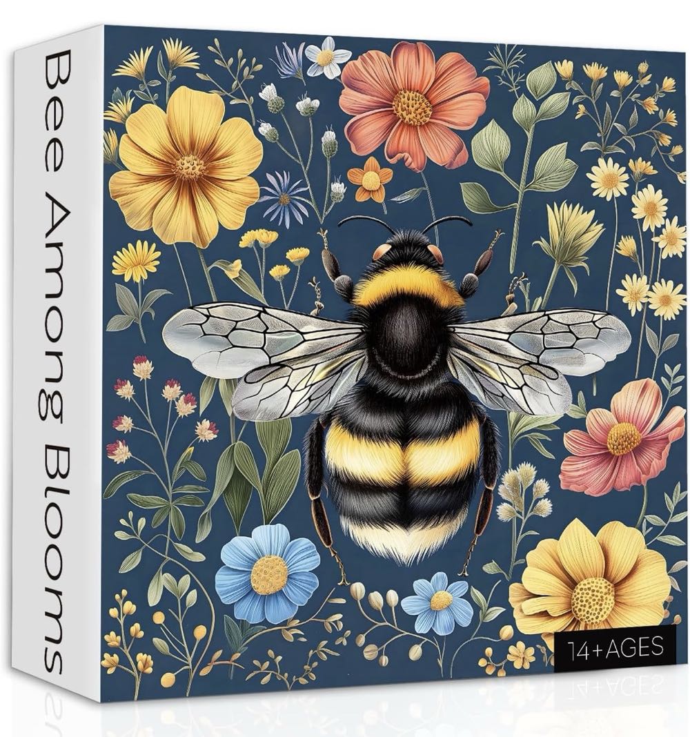 Italy, Venice, Canale Grande