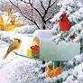 Image 126655