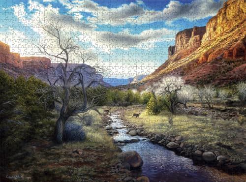 Worlds Most Beautiful Puzzles