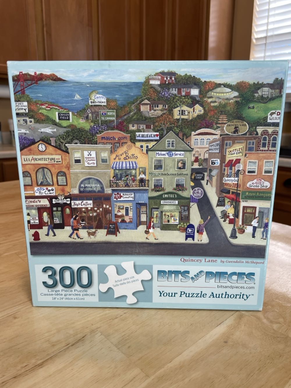 Seek &Find Christmas Surprise