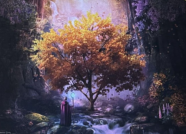 Enchanted Forest 🟦 - Schmidt Puzzle puzzle collectible [Barcode 4001504585235] - Main Image 2