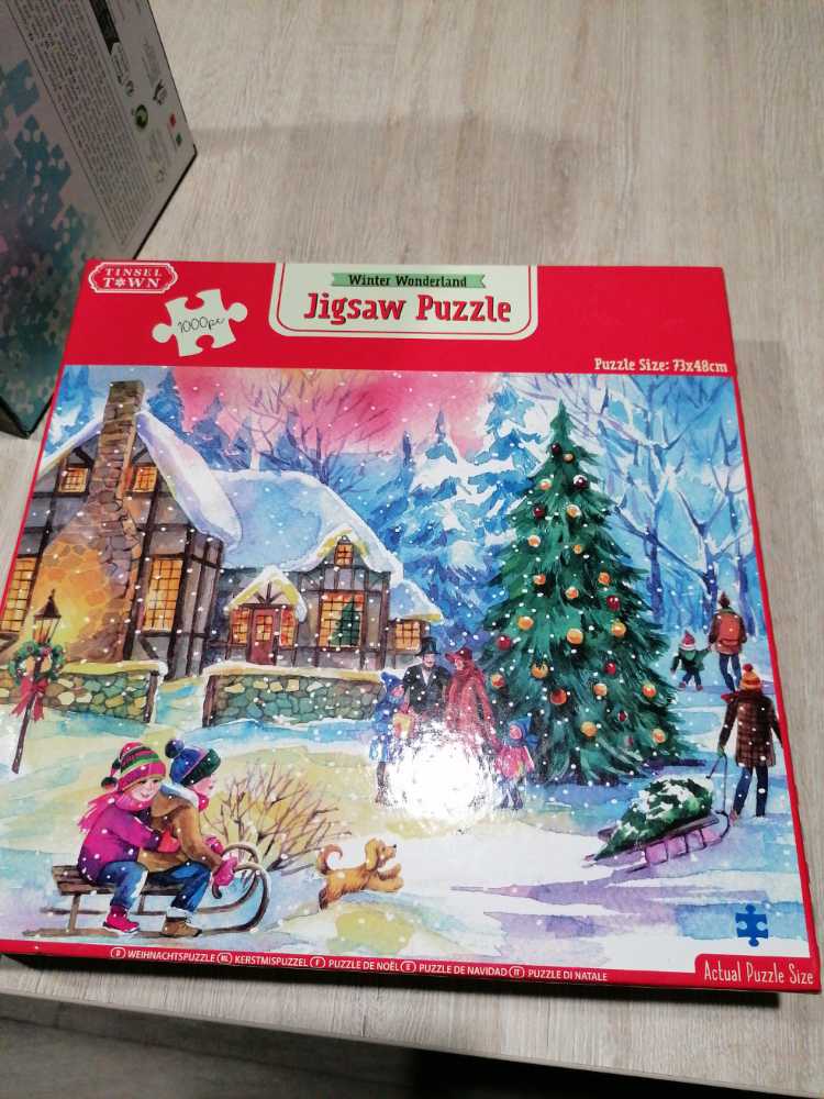 Gnomes In Spring Garden