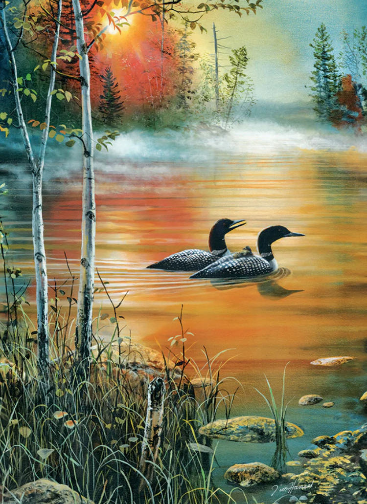 Image 126916