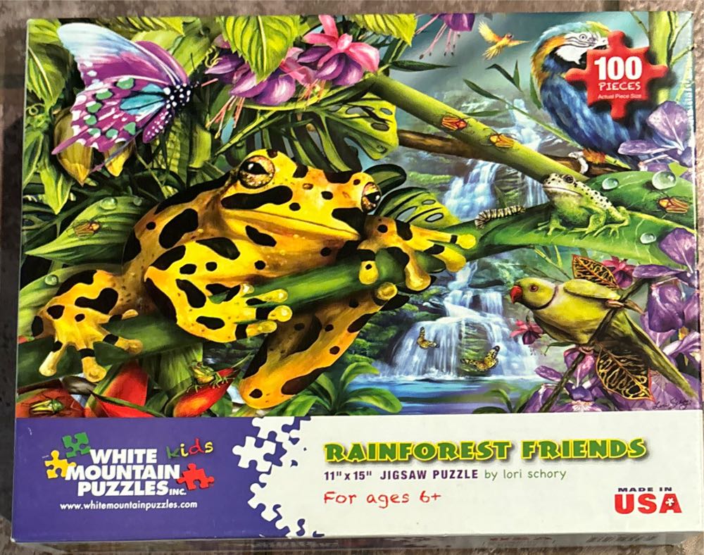 Ravensburger Kasteel De