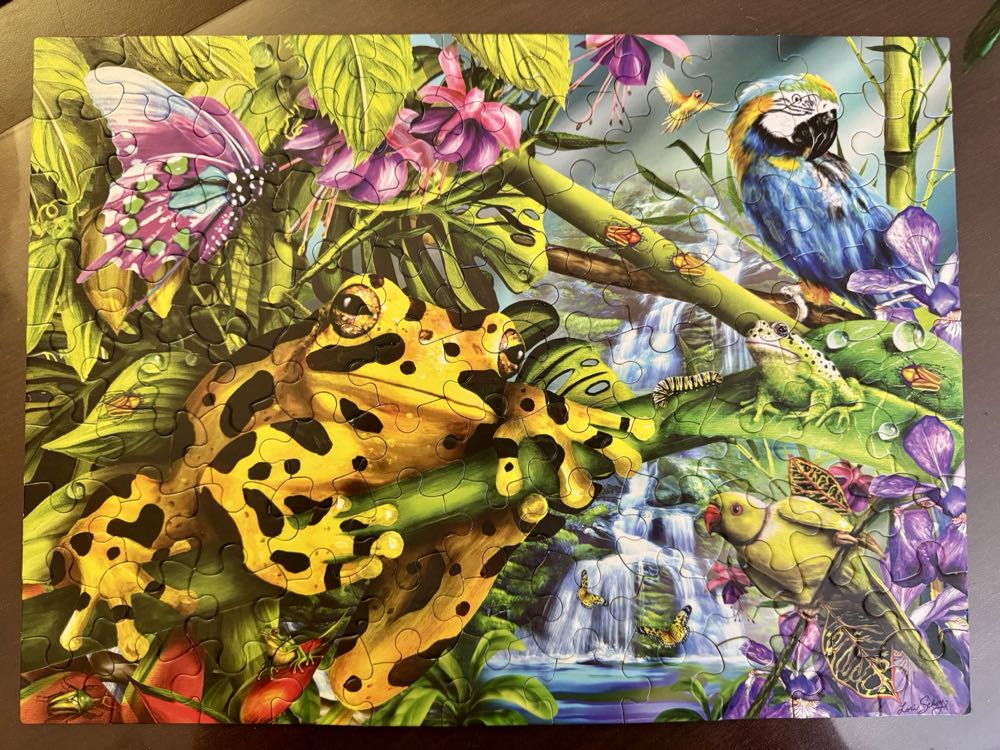 Rainforest Friends - White Mountain Puzzles puzzle collectible [Barcode 724819256235] - Main Image 2