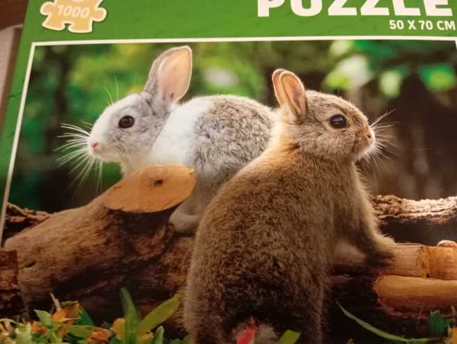 Paper Heart Arrangment