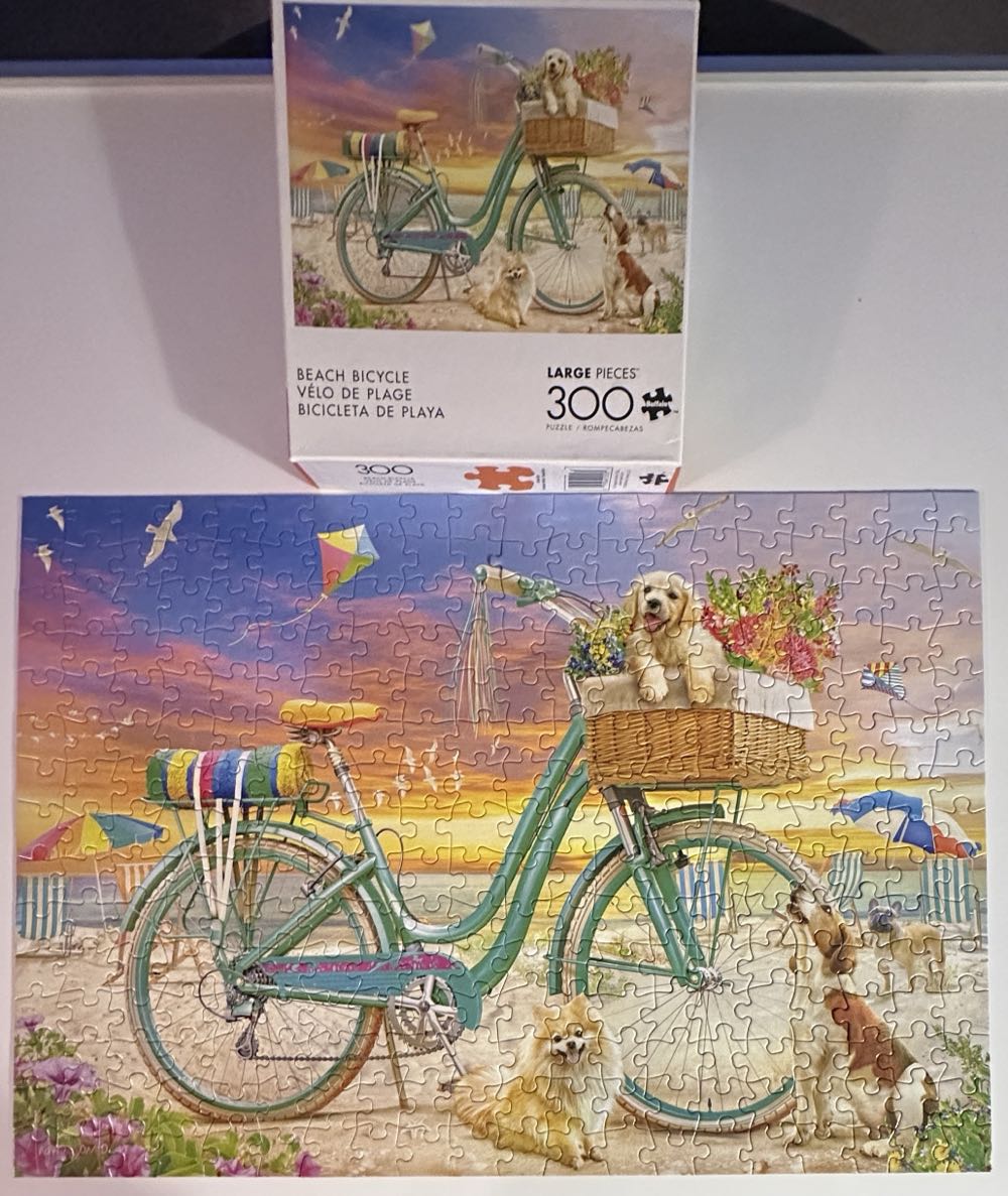 Beach Bicycle - Buffalo puzzle collectible [Barcode 079346225231] - Main Image 2