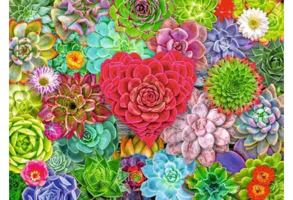 Succulent Love - Ravenburger puzzle collectible [Barcode 4005555014690] - Main Image 2