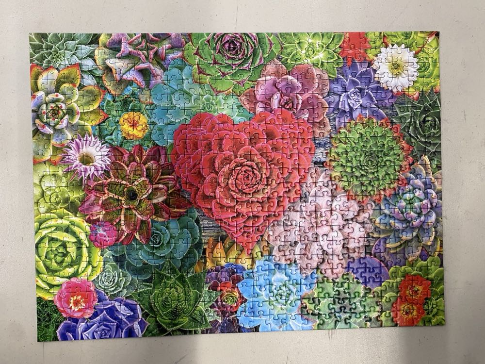 Succulent Love - Ravenburger puzzle collectible [Barcode 4005555014690] - Main Image 4