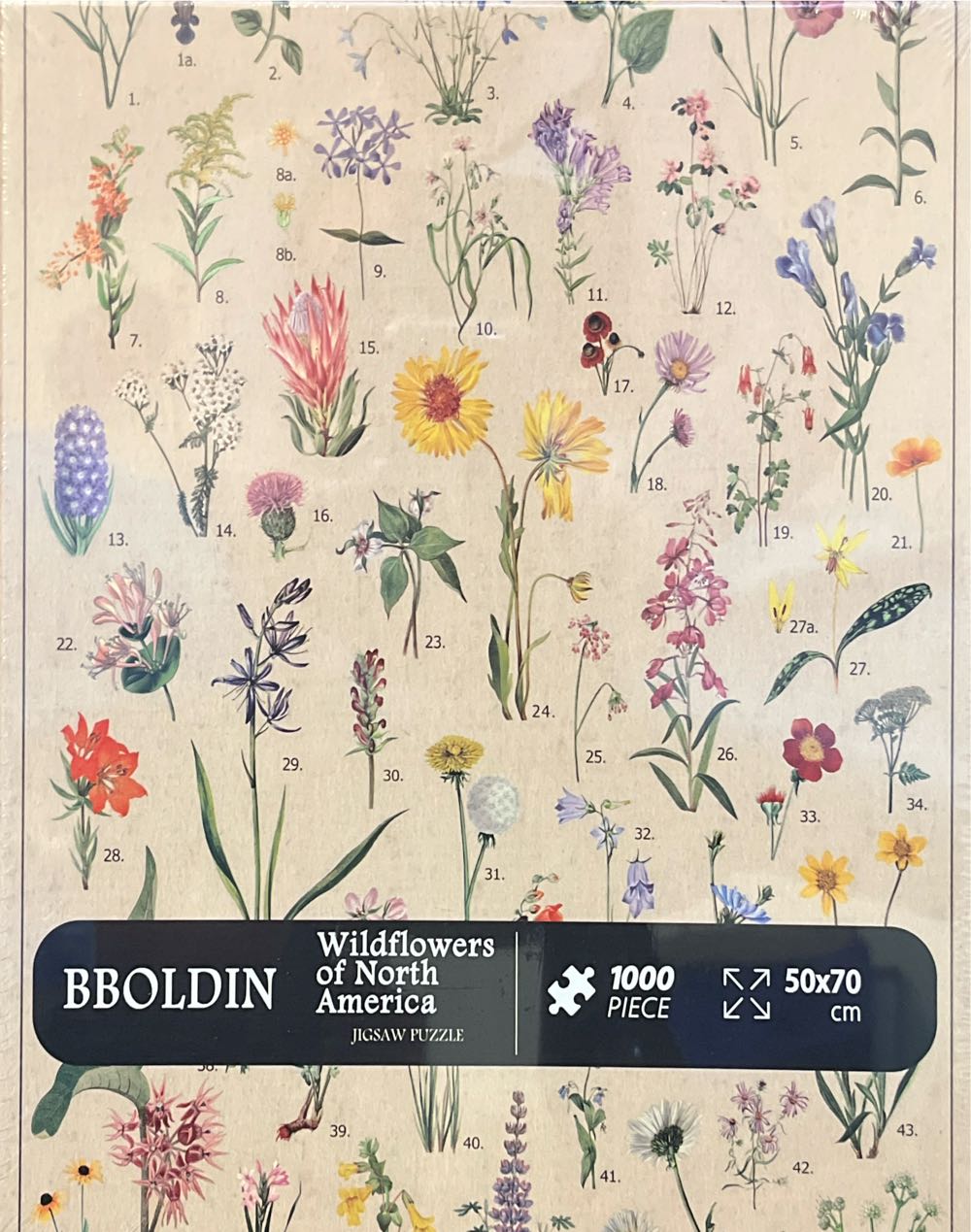 Photographic Reflections