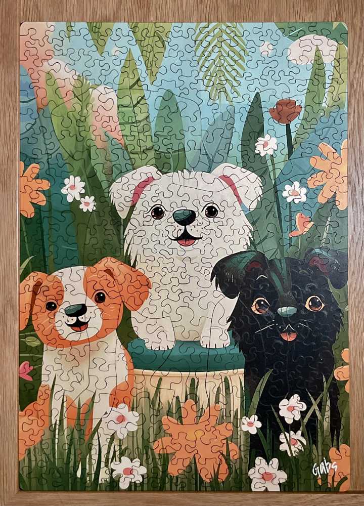 Ravensburger 196197 Dresden Canaletto Blick Panorama Pieces