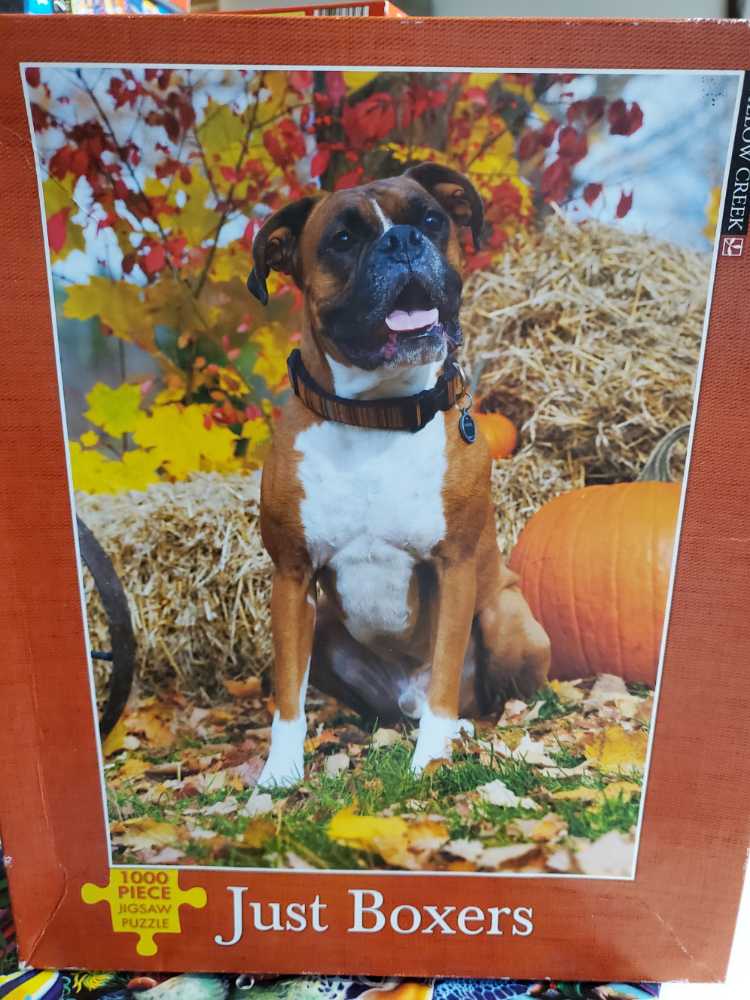 Pursuits Of The Past - Jane Wooster Scott