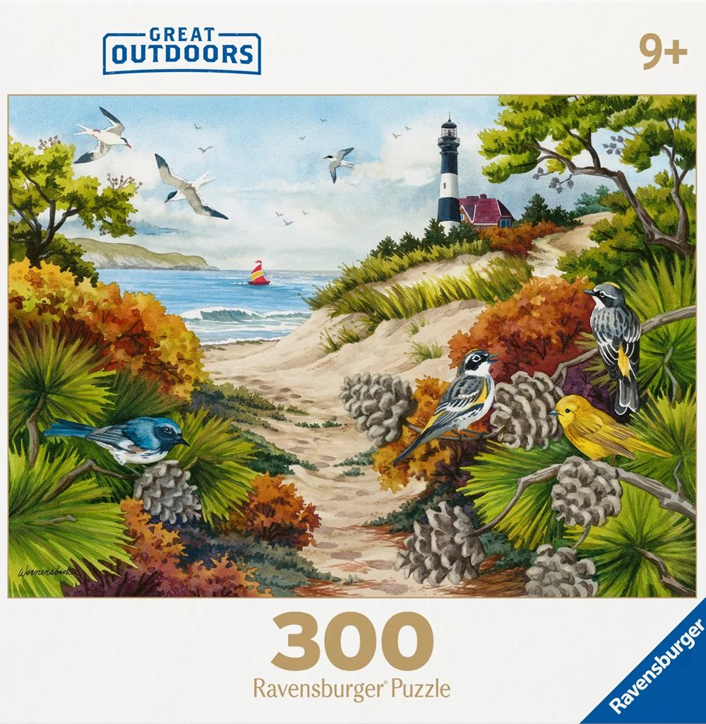Sand Dune Path - Ravensburger puzzle collectible [Barcode 4005556806782] - Main Image 2