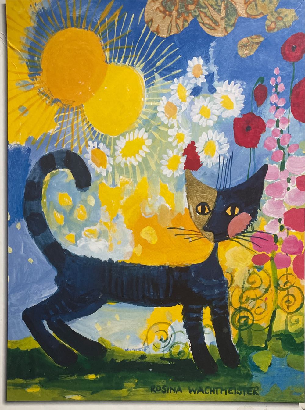 In Galop Door De Canyon/ Horses In The Canyon