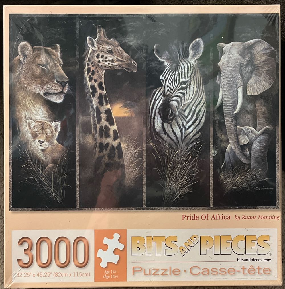 Sale Among Your Dreams