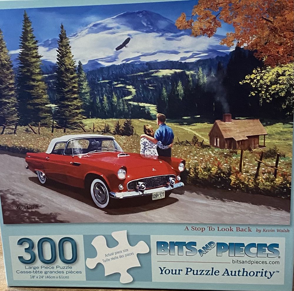 A Stop To Look Back - Bits & Pieces puzzle collectible [Barcode 192949048455] - Main Image 2