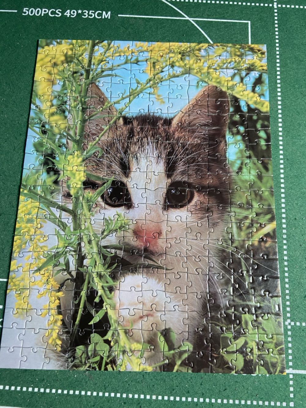 Saint Petersburg Moyka river