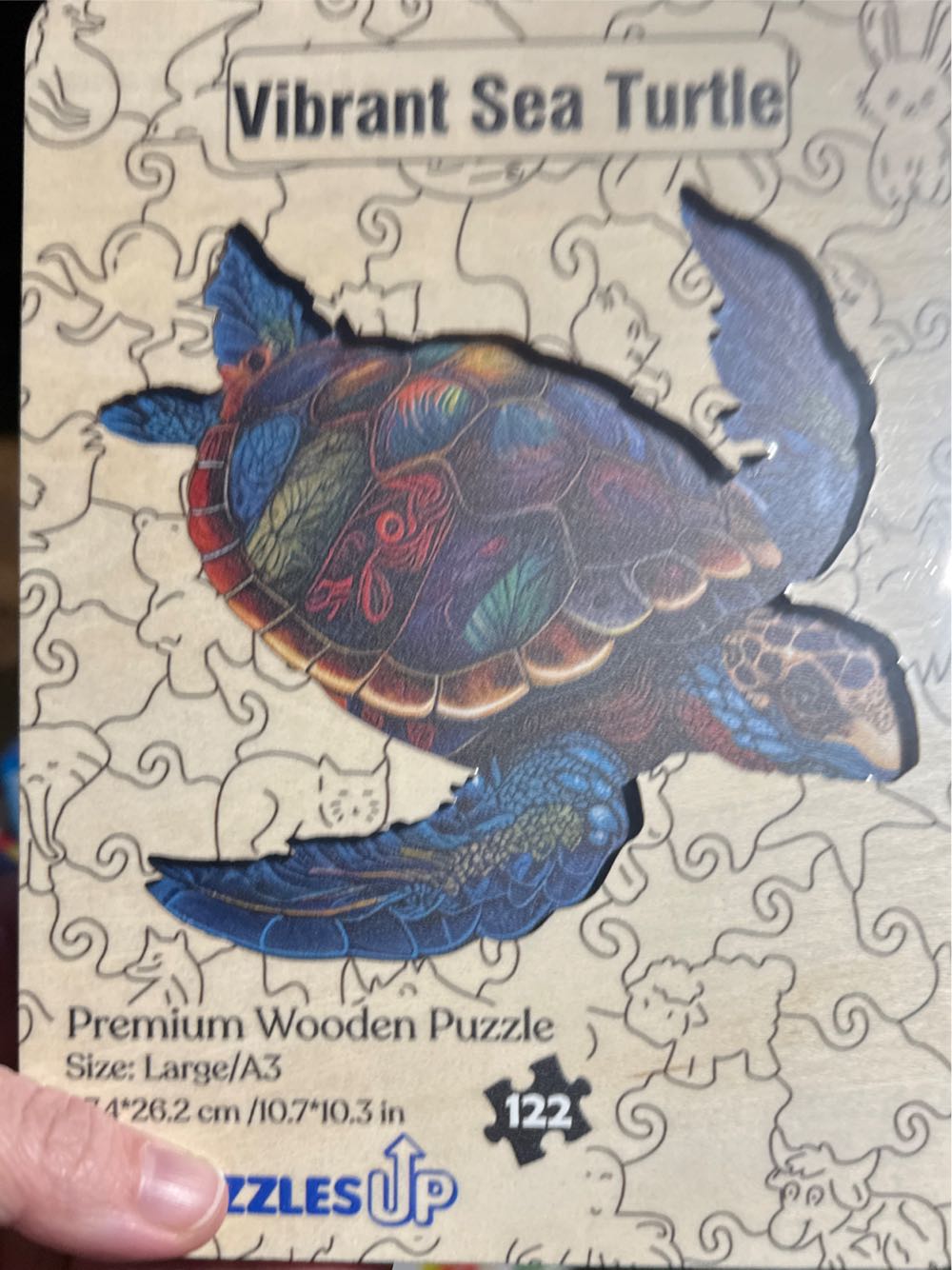 Little Witch Cat H2345