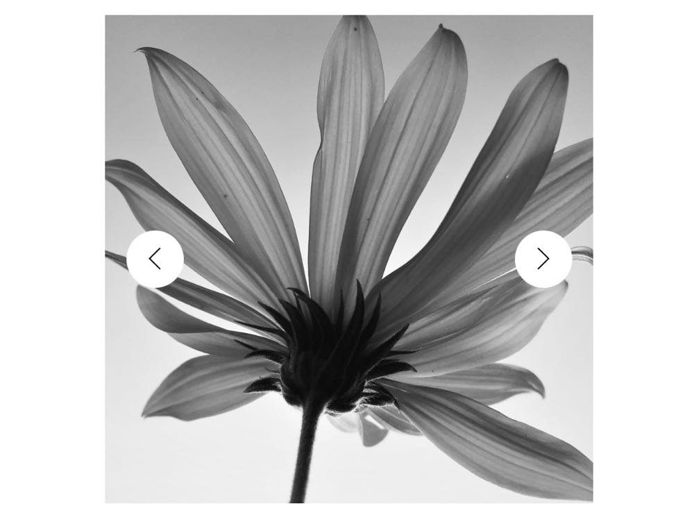 Betsy’s Chocolates On Cape Cod