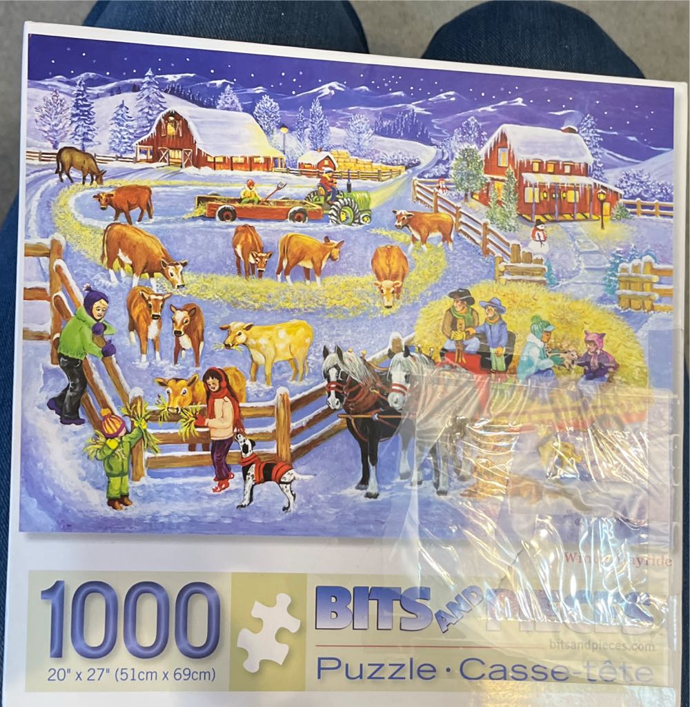 The Sunflowers by Vincent van Gogh - 1019, 2/13/26 - SOLD