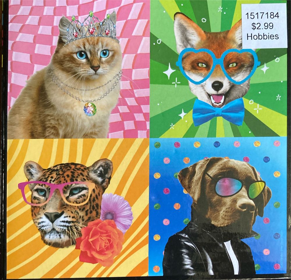 Ottawa Winterlude Festival