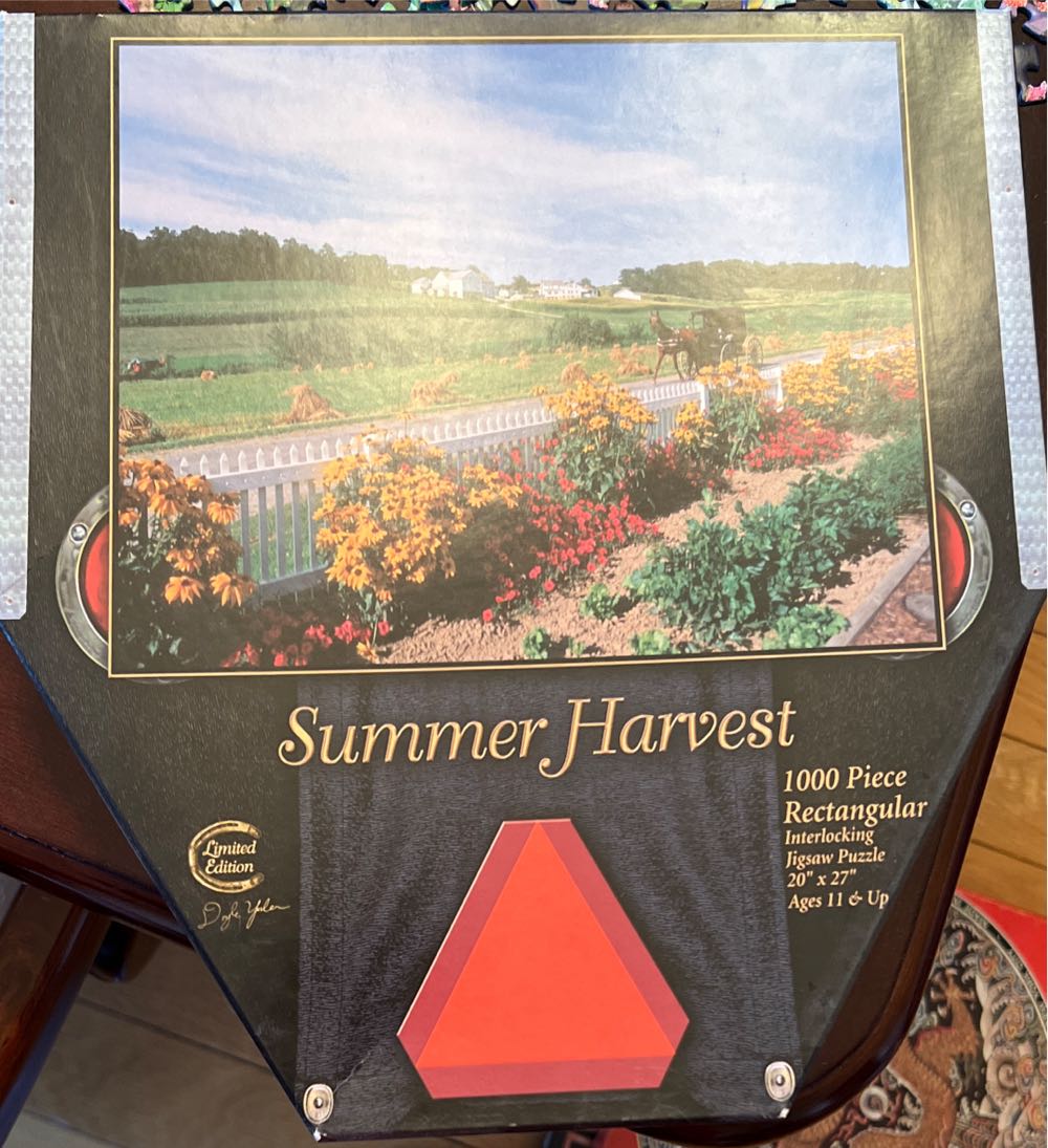 Hot Air Balloon Celebration