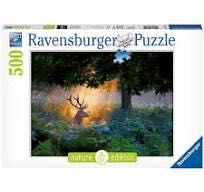 Butterfly Splendor 🆕©️