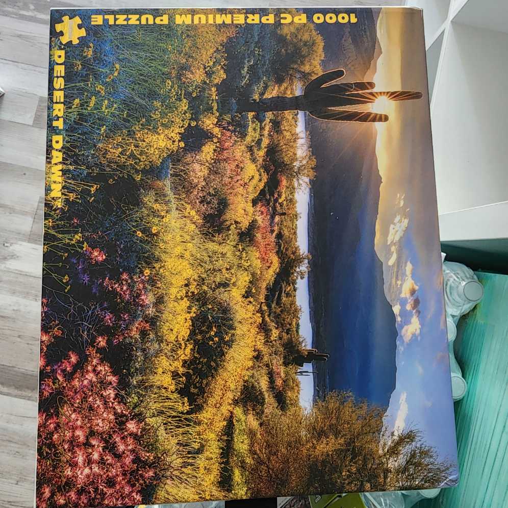 Winter Fairies (Lori)