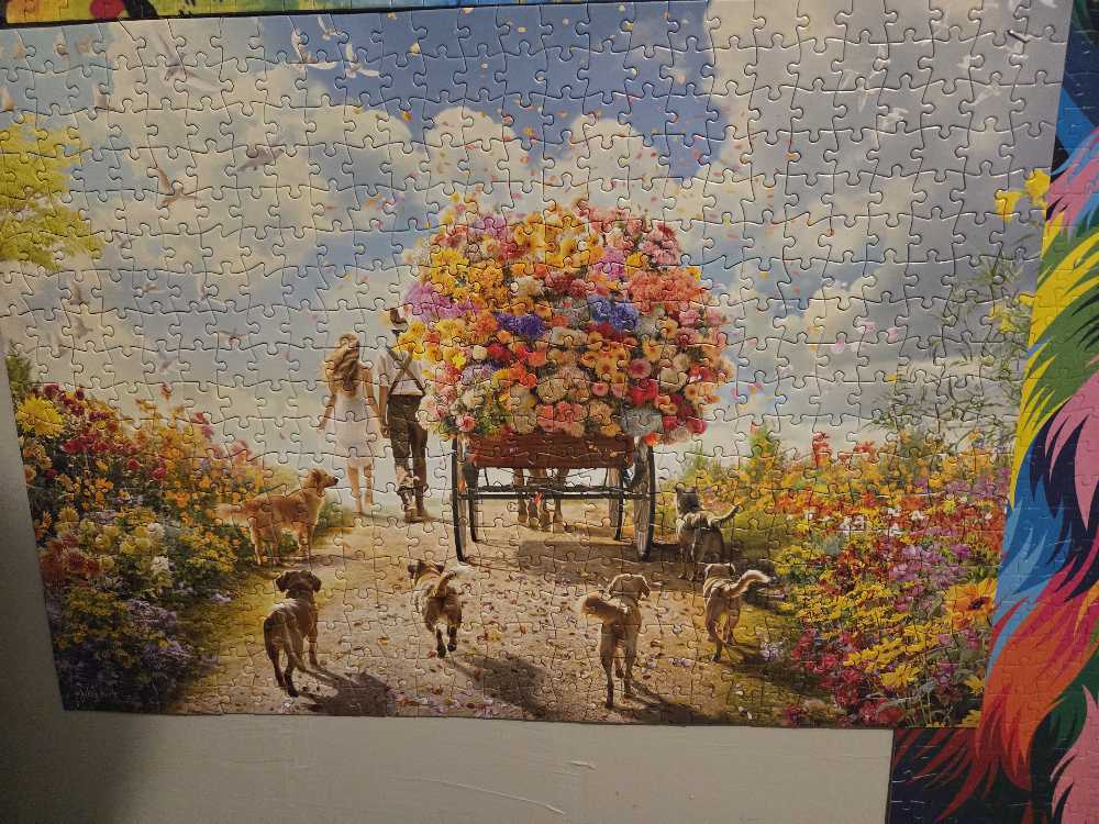 Wildflower Harvest (NIB) NFT - Buffalo puzzle collectible [Barcode 079346332724] - Main Image 2