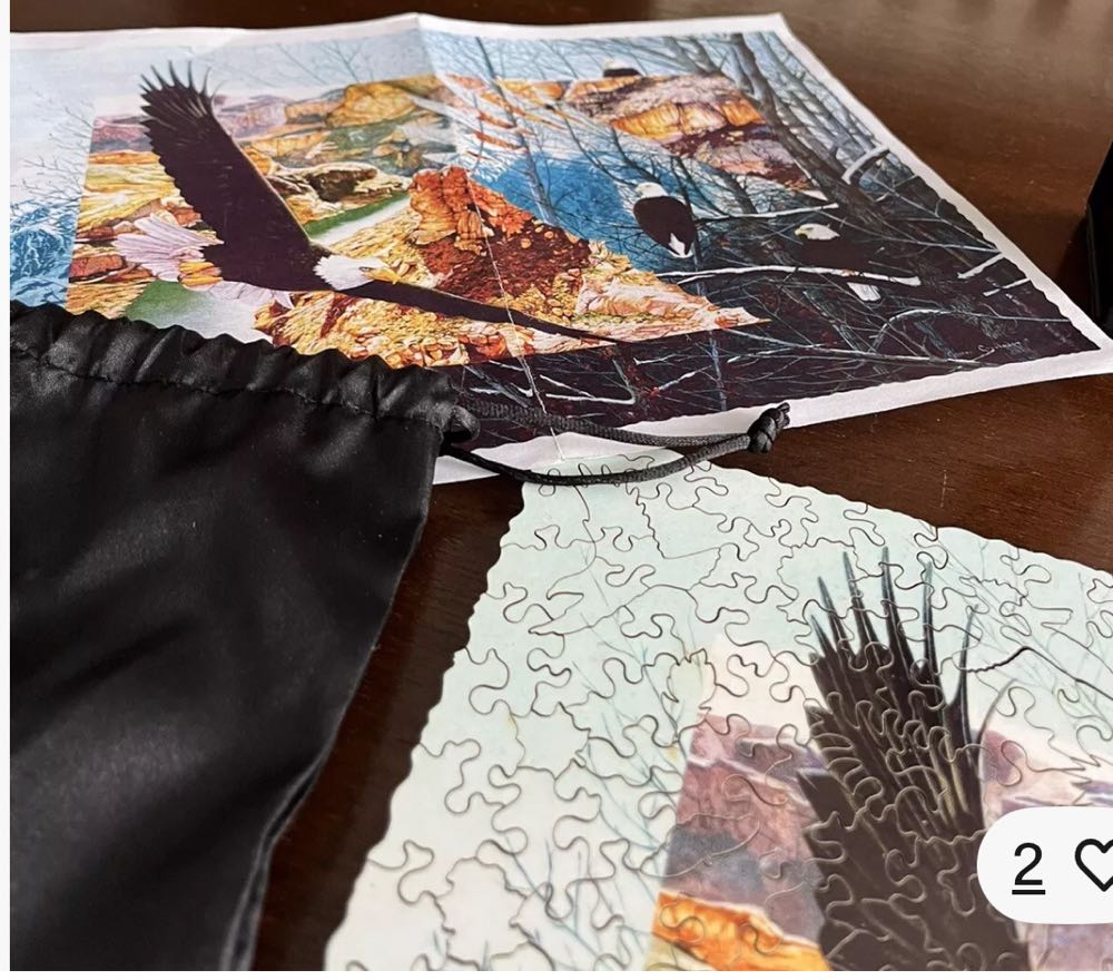 Eagles Nest Wooden Puzzle - Nautilus puzzle collectible - Main Image 3