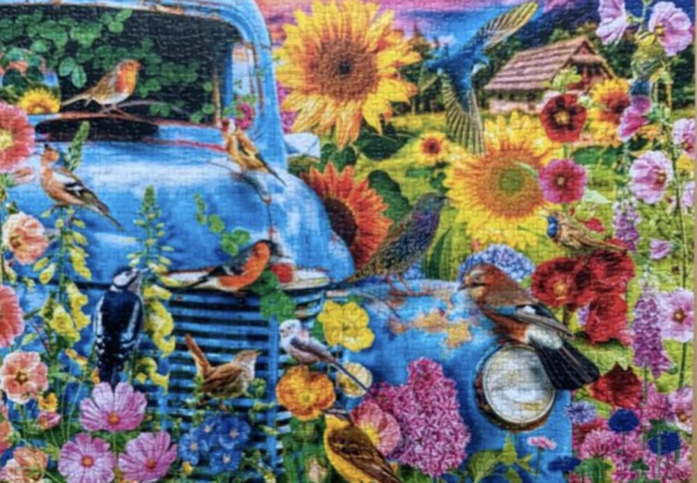 Songbirds 🐦 - Trefl puzzle collectible [Barcode 5900511108484] - Main Image 3